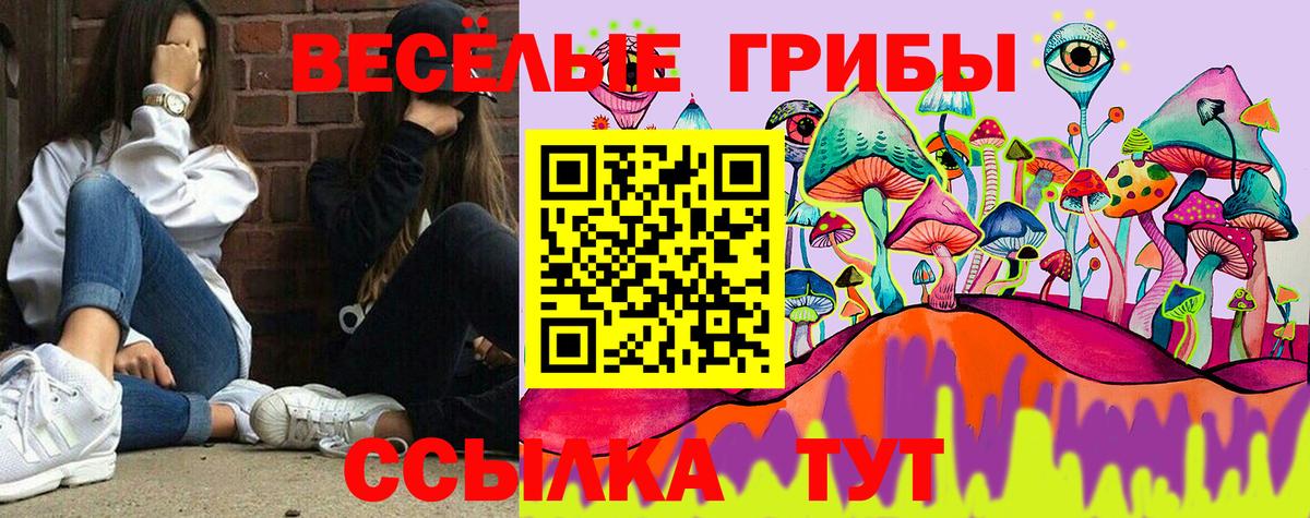 Балтийск  Псилоцибиновые грибы Psilocybe  Вход с VPN  Псилоцибиновые грибы Magic Shrooms 
